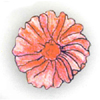 Modello E