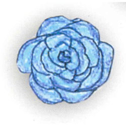 Modello F